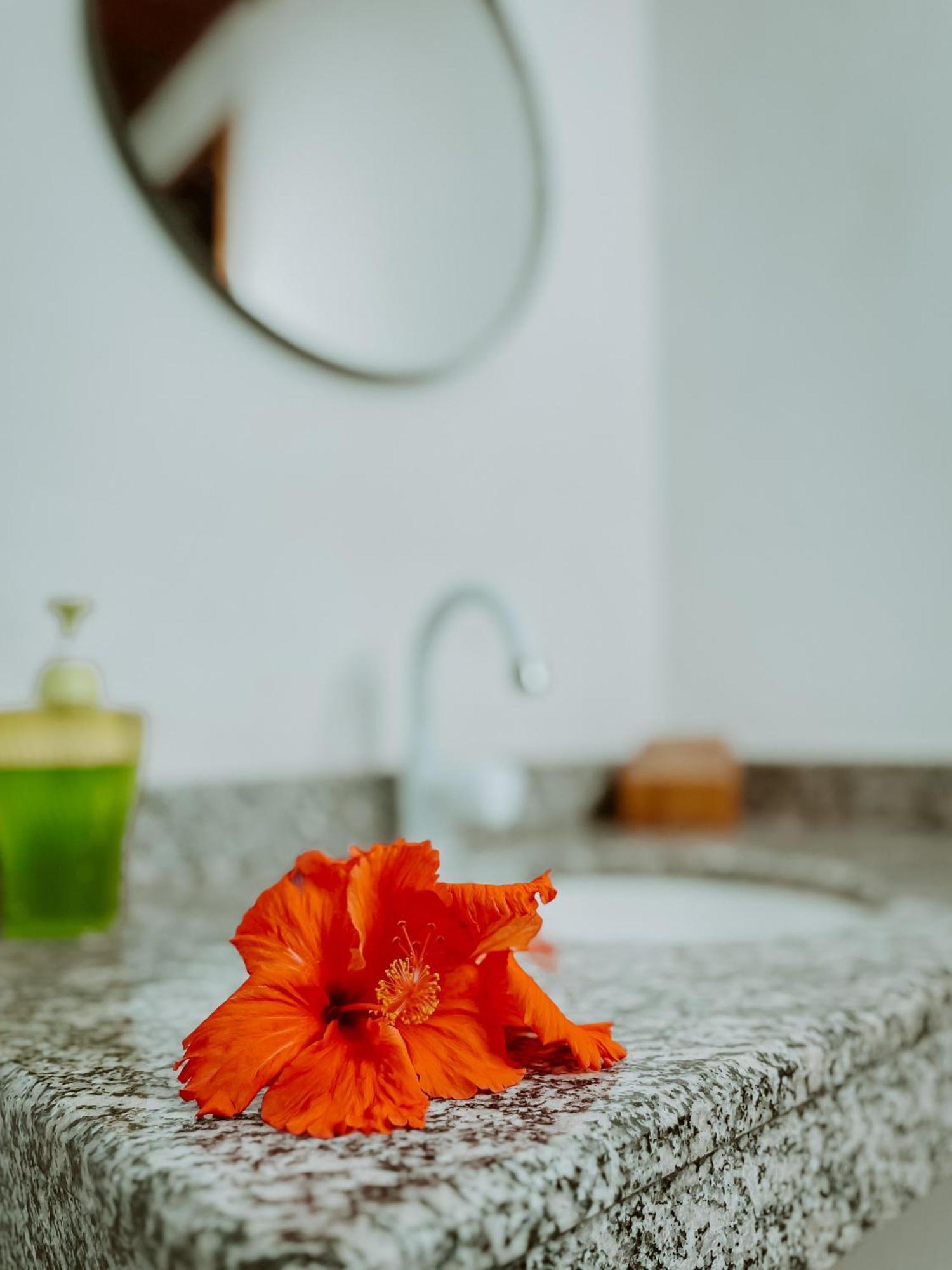 Guedes Residence Velha Boipeba エクステリア 写真